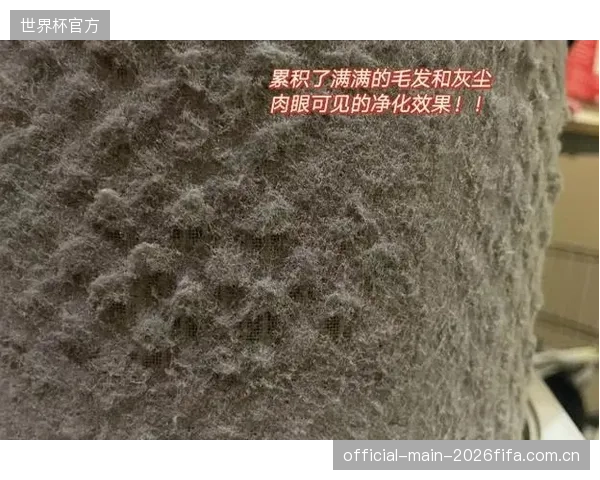 将室外沙场的防尘标准直接用于室内场馆是错误的，这导致了对通风与空气净化系统近乎灾难性的低估